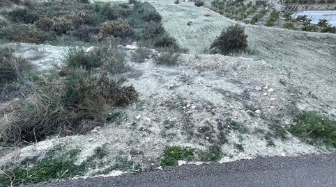 Huecija . Parcela en venta Rustica, imatge 5