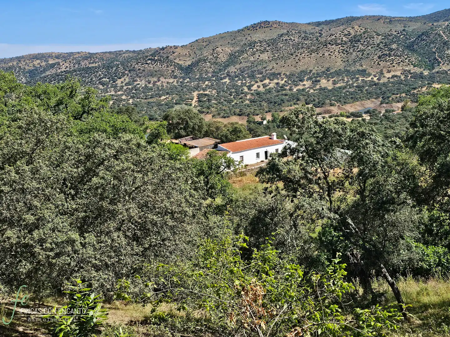 Exterior view of Country homes for sale in Cazalla de la Sierra  with Swimming Pool