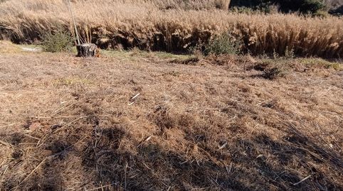 SANT CELONI EL VIRGILI GRAN TERRENO APTO PARA CHALET RODEADO DE NATURALEZA A TOCAR DEL PUEBLO, imatge 3