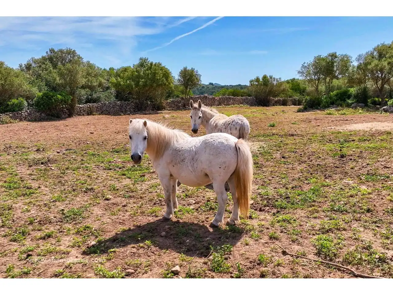 Exterior view of Land for sale in Ciutadella de Menorca