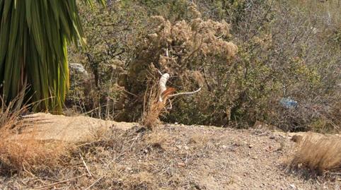 Foto 2 de Residencial en venda a Calle Àngel Guimerà, Cumbres de Calicanto, Valencia