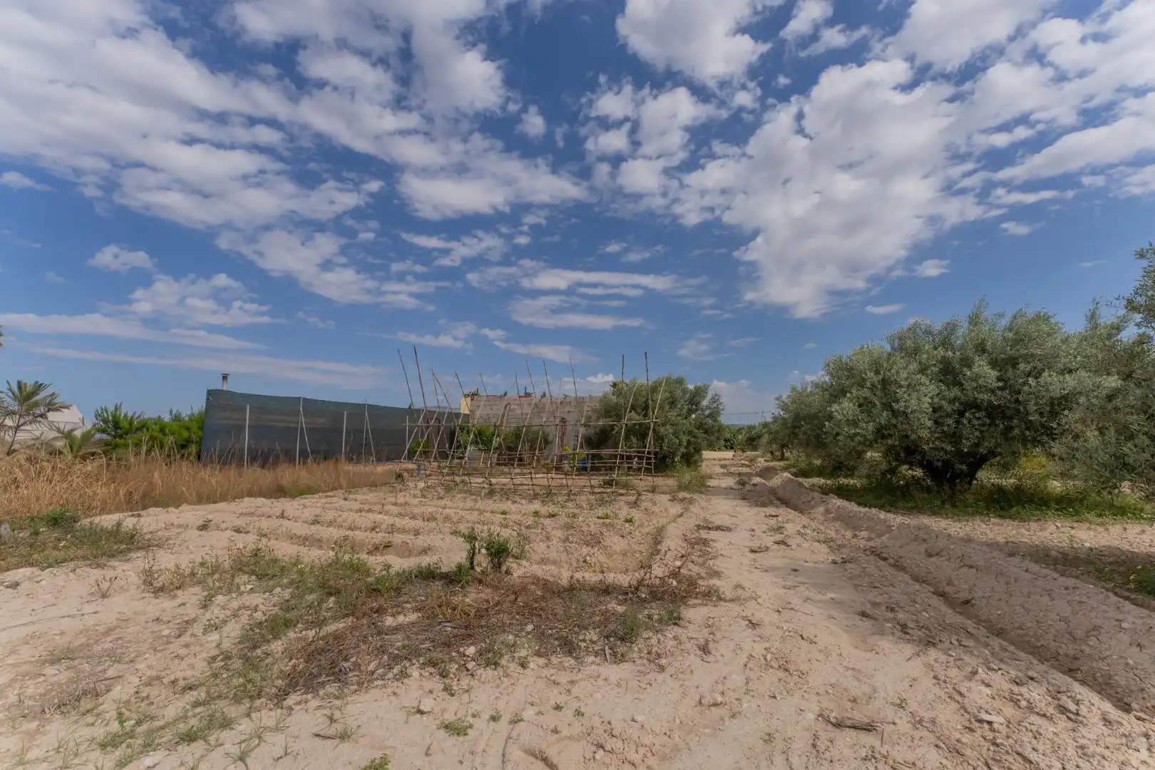 Casa o xalet en venda en Crevillent amb Piscina