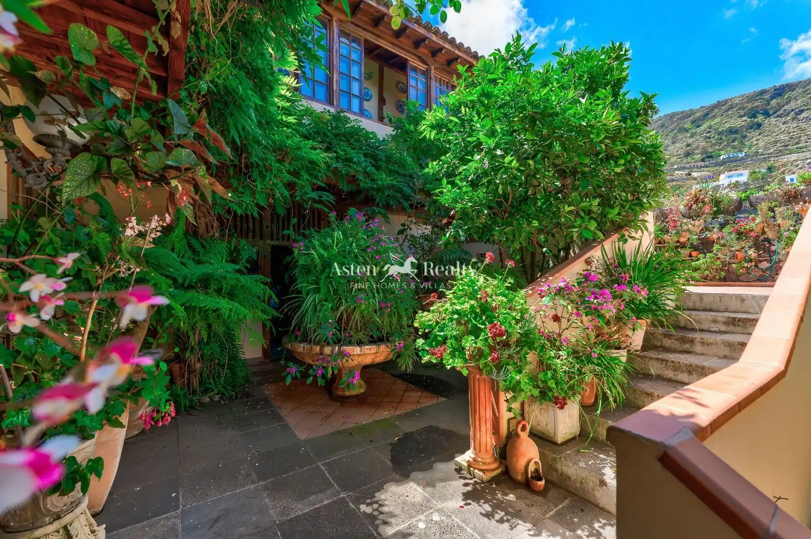 Jardí de Casa o xalet en venda en Icod de los Vinos amb Terrassa i Moblat