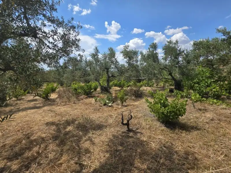 Terreni e lotti in vendita a Miralvalle - Av. Virgen del Puerto - La Data, imagen 7