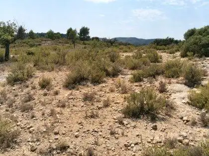 Rustikales Grundstück zum Verkauf in Pedanías Oeste, imagen 3