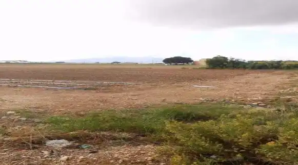 Terrain résidentiel à vendre à Carrer Santa Rosa, imagen 2
