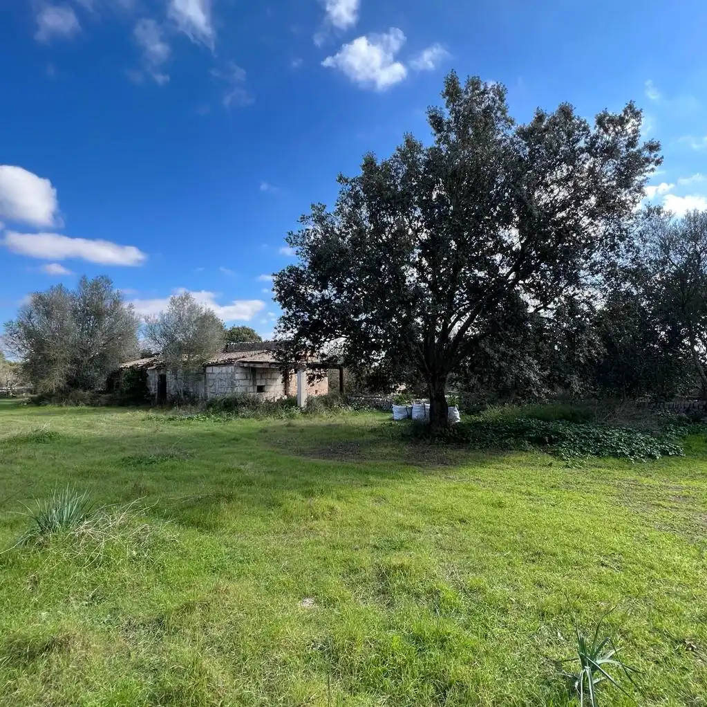Terreno rustico in vendita a Diseminado Diseminados Var 248, imagen 3