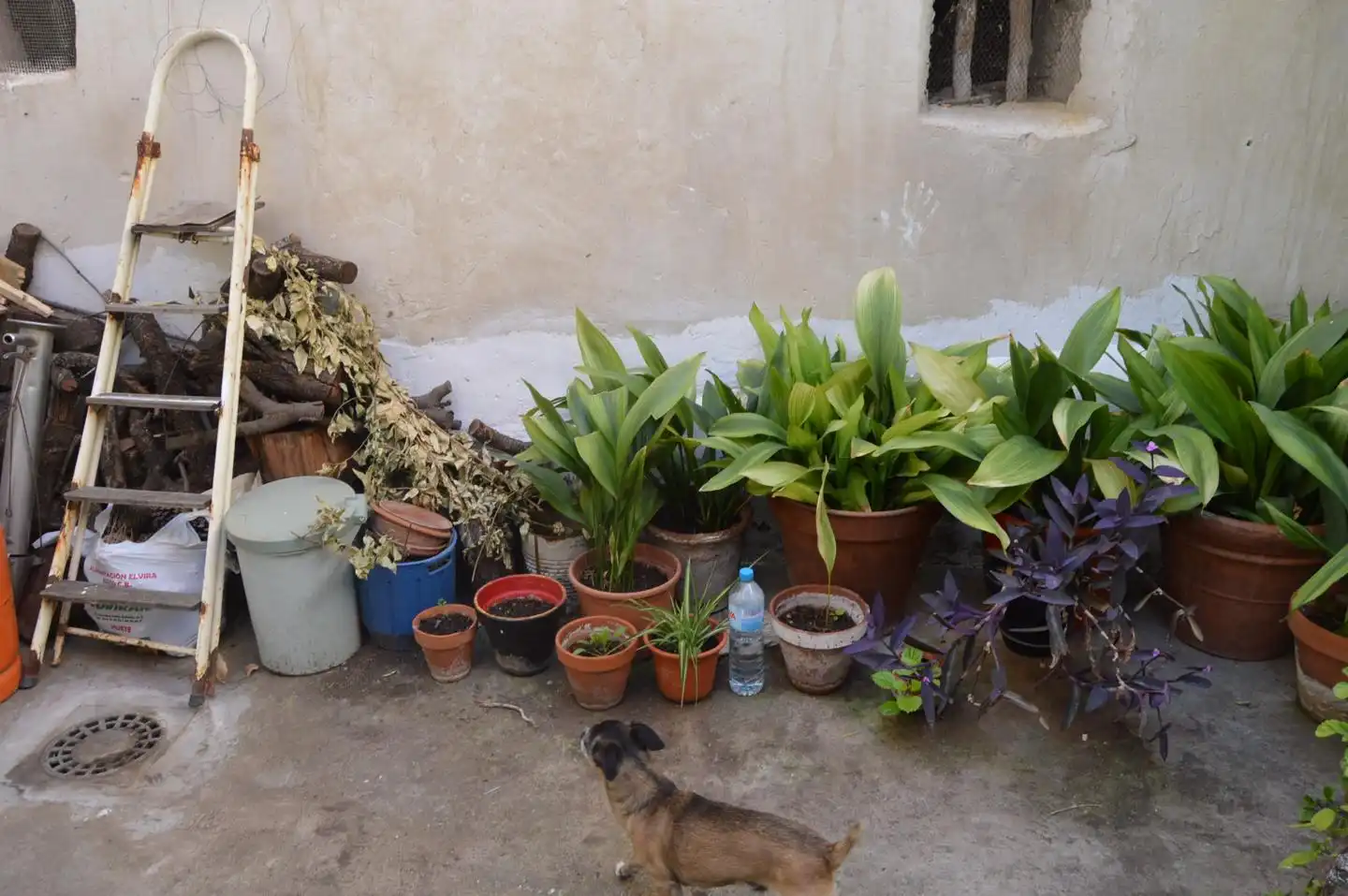 Garden of Houses for sale in Huete  with Furnished