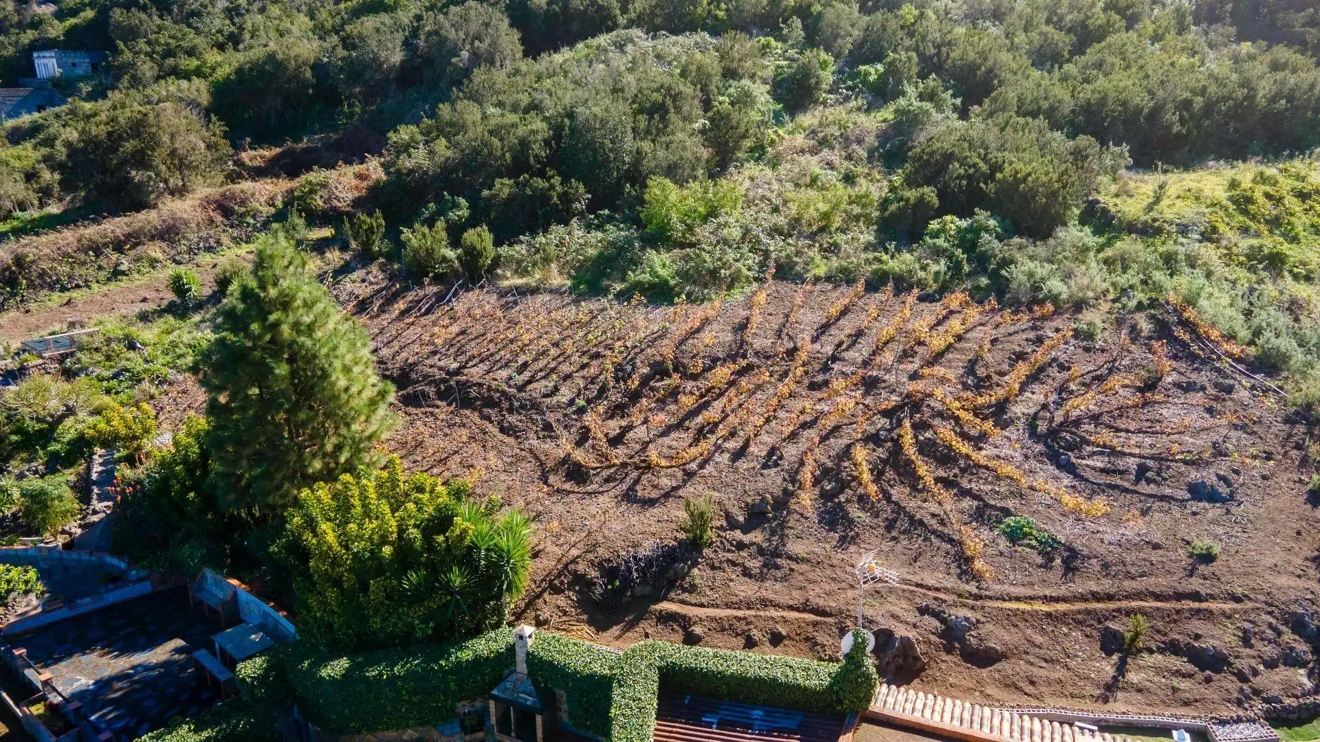Garden of Houses for sale in La Orotava  with Heating, Private garden and Storage room
