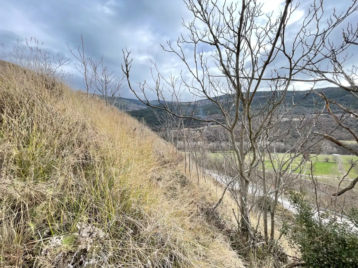 Terreno rustico in vendita a Diseminado Afores, imagen 2