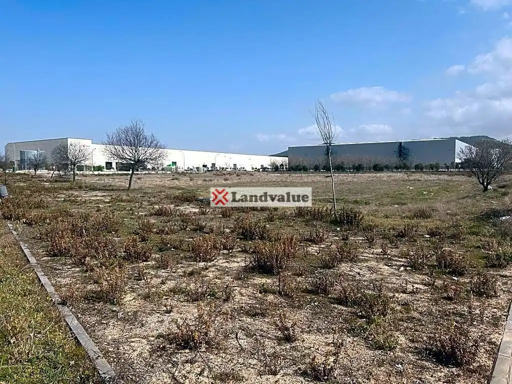 Industrial land for sale in Chiloeches, imagen 6