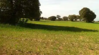 Rustikales Grundstück zum Verkauf in Avenida Avenida Mariana Pineda, imagen 5