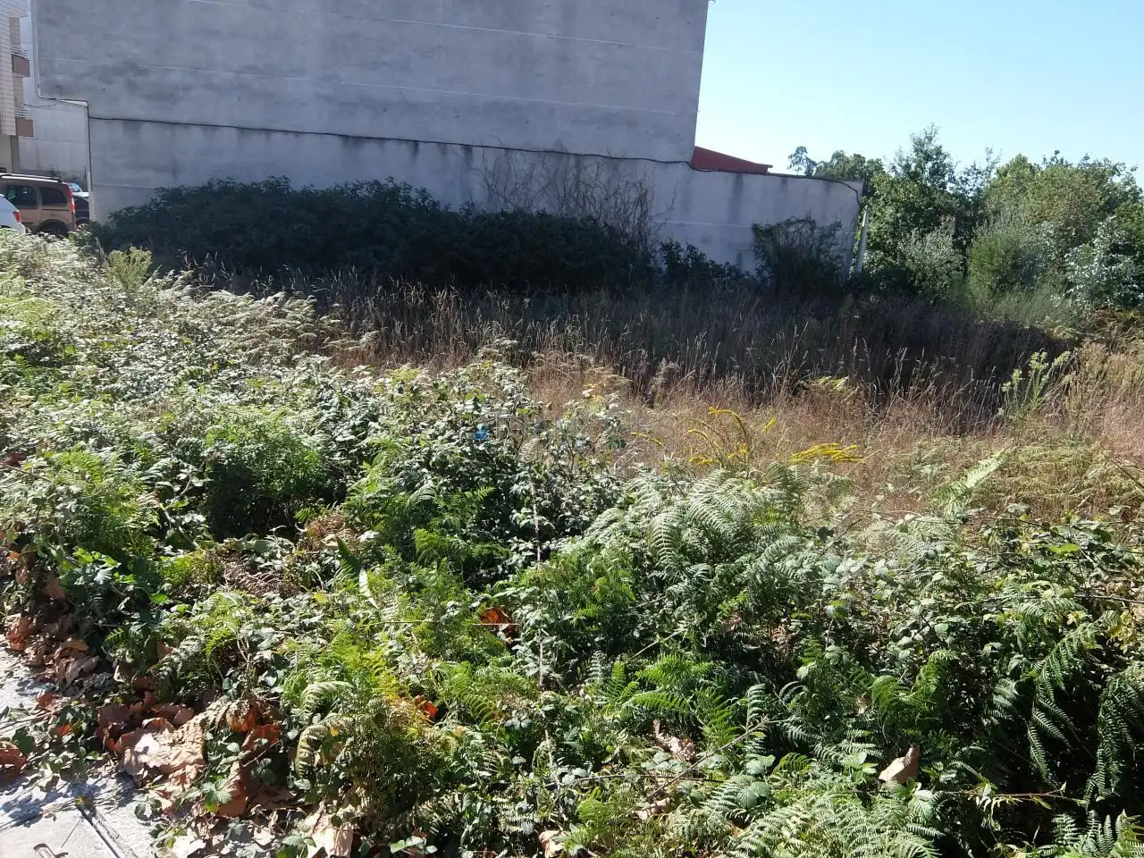 Terreny residencial en venda a Calle Uruguay, imagen 3