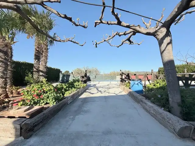 Terrassa de Finca rústica en venda en Cabanes amb Jardí privat, Terrassa i Piscina