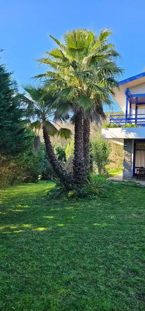 Jardín de Casa o chalet en venta en Plentzia con Calefacción, Jardín privado y Trastero
