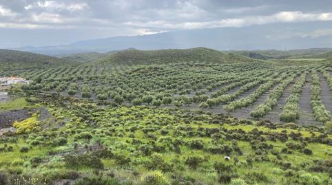 Foto 2 de Finca rústica en venda a Calle Barranco, Castro de Filabres, Almería