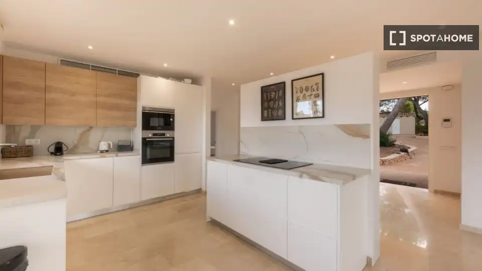 Kitchen of Apartments for share in  Palma de Mallorca  with Air Conditioner, Terrace and Furnished