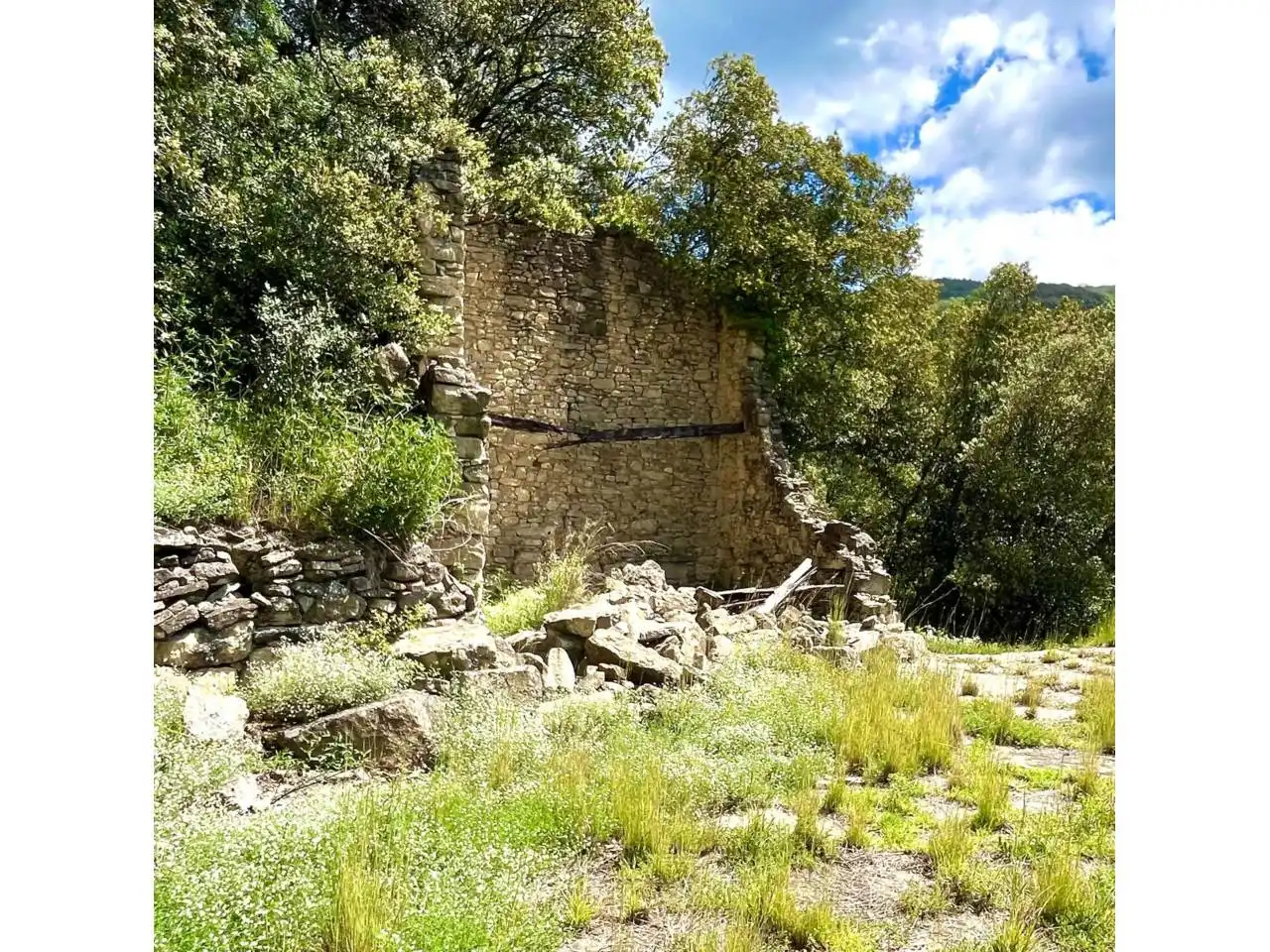 Vista exterior de Finca rústica en venta en Sant Aniol de Finestres con Calefacción, Jardín privado y Terraza