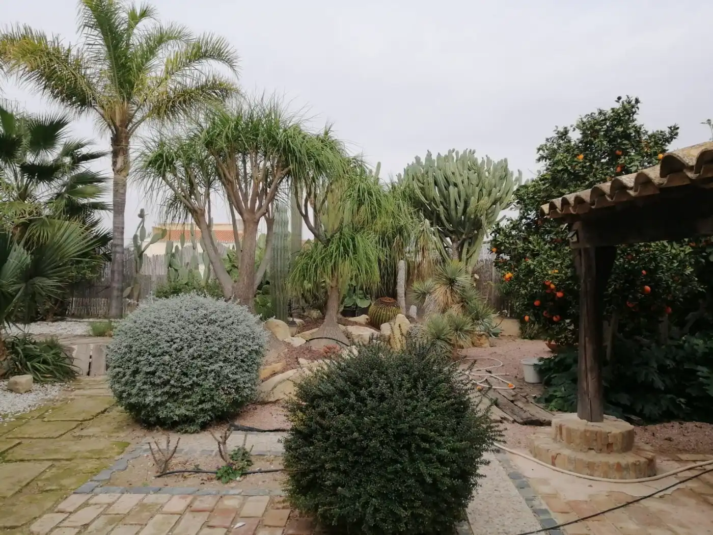 Jardí de Casa o xalet en venda en Murcia amb Calefacció, Jardí privat i Parquet