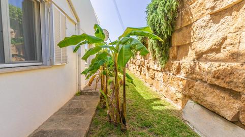 Foto 4 de Planta baja en venta en Felanitx Poble, Illes Balears