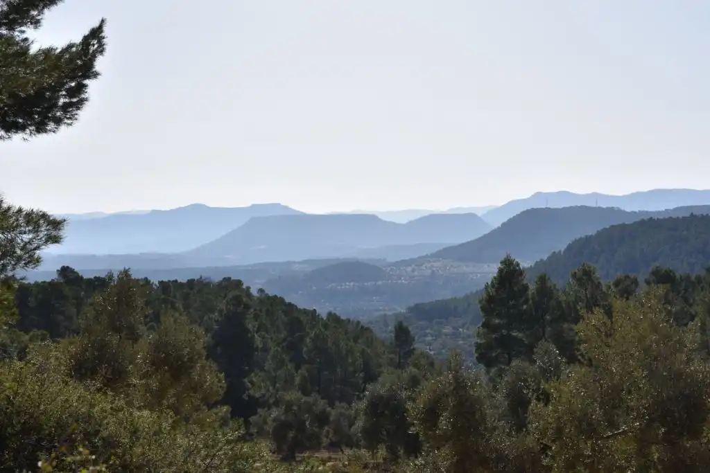 Exterior view of Country homes for sale in La Fresneda