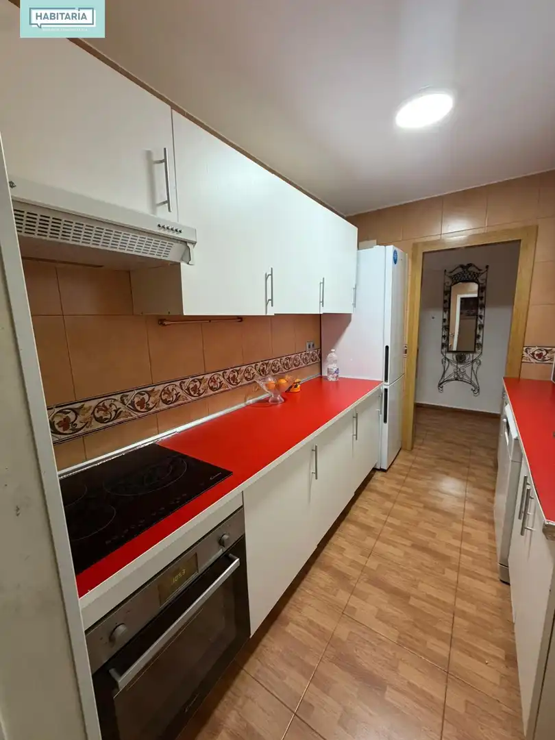 Kitchen of Flat for rent in Málaga