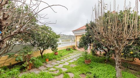Foto 5 de Casa o chalet en venta en Calle de Los Eucaliptos, San José del Álamo - El Hornillo, Teror