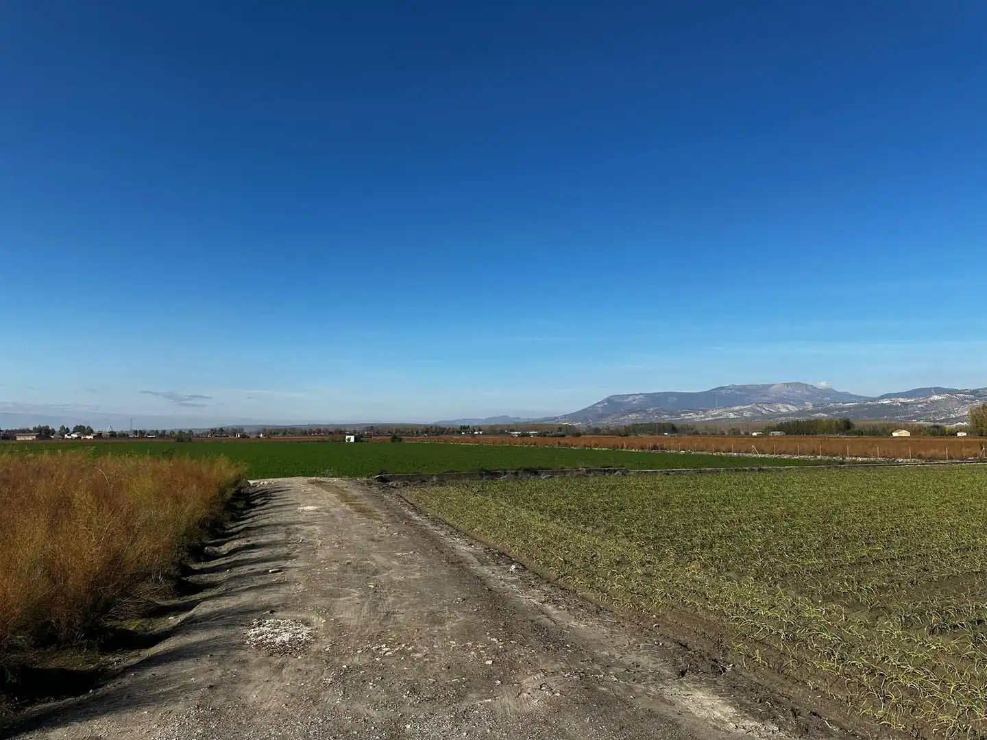 Terrains et parcelles à vendre à Fuente Vaqueros, imagen 8