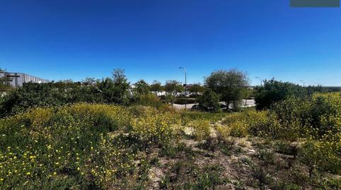 Foto 3 de Residencial en venta en Los Berrocales, Madrid