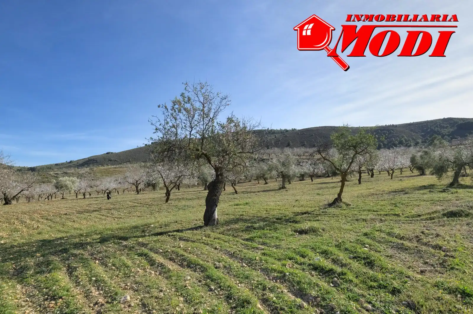 Terreni e lotti in vendita a El Valle, imagen 30
