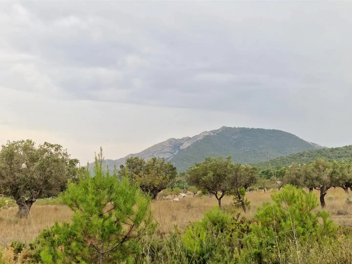 Detached homes for sale in Tibi  with Air Conditioner, Heating and Private garden