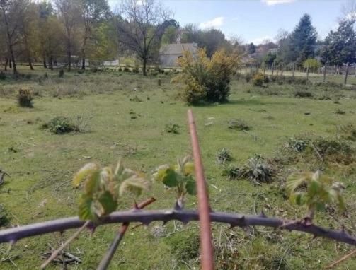 Terreny industrial en venda a Amoeiro