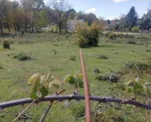 Industrial land for sale in Amoeiro