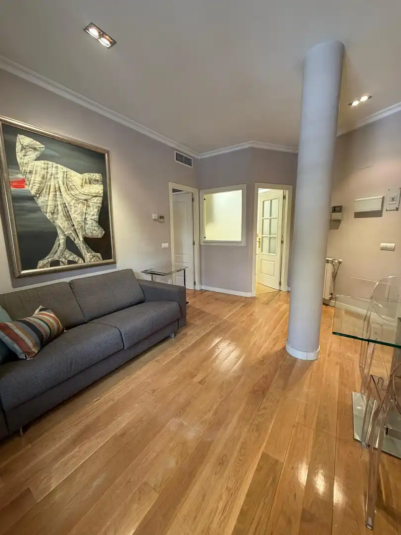 Wohnzimmer von Wohnung zur Miete in Madrid mit Klimaanlage, Heizung und Parkett