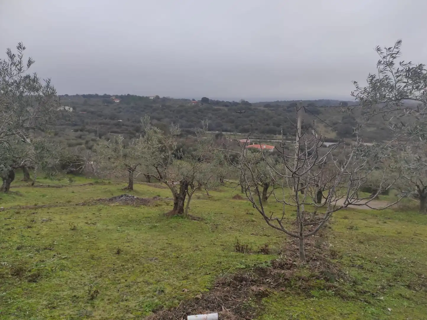 Terreno en venta en Plasencia