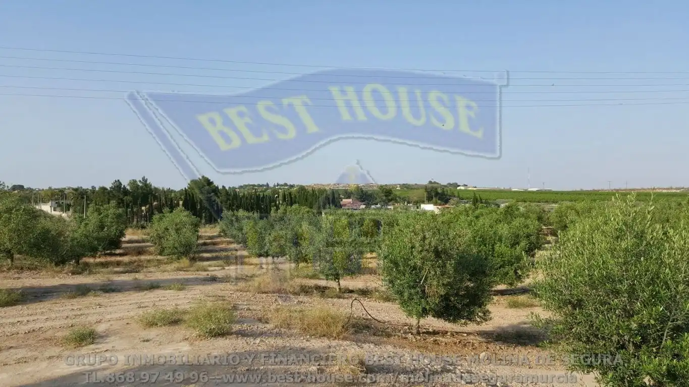 Terrenos y solares en venta en Las Torres de Cotillas, imagen 3