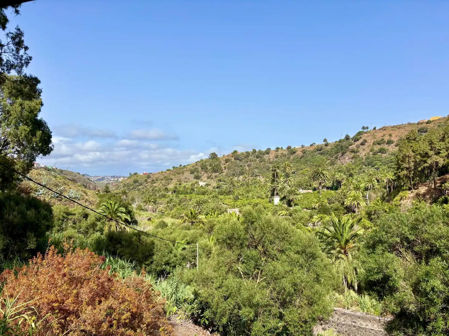 Vista exterior de Finca rústica en venda en Santa Brígida amb Rentadora