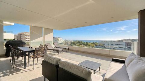 Photo 3 of Apartments for rent in Guadalobón, Estepona
