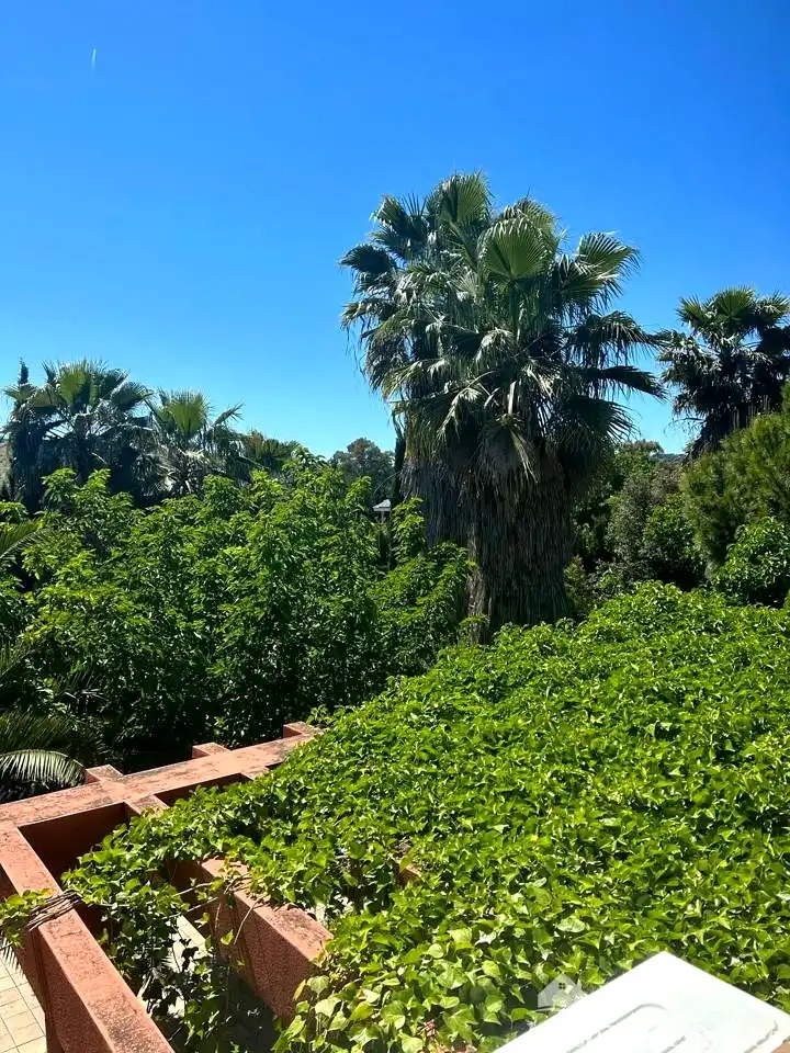 Vista exterior de Casa adosada en venda en Linares amb Aire condicionat, Jardí privat i Terrassa
