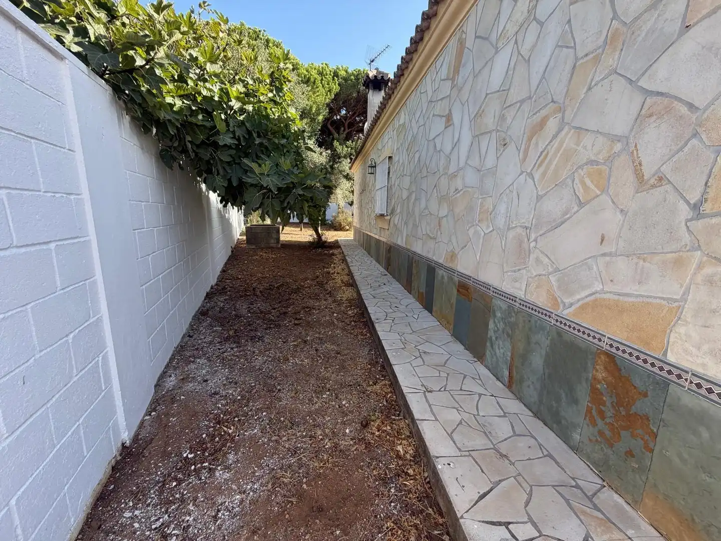 Jardín de Casa o chalet en venta en Chiclana de la Frontera con Jardín privado, Terraza y Trastero