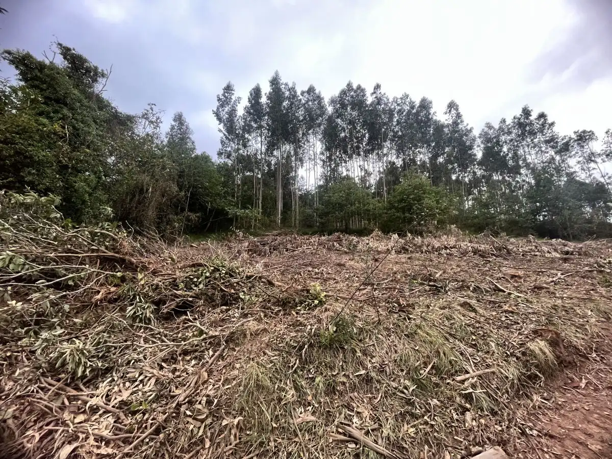 Residential land for sale in Grado, imagen 2
