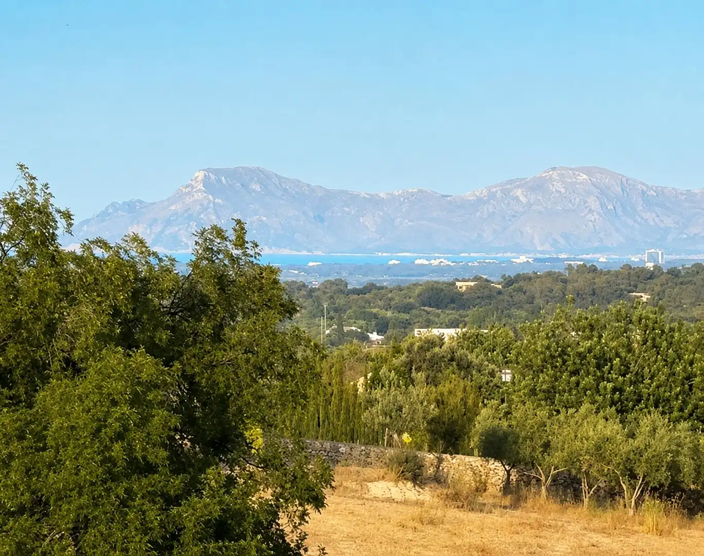 Exterior view of Residential for sale in Selva