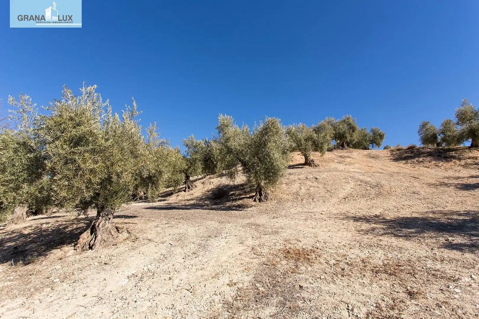Land for sale in Campotéjar