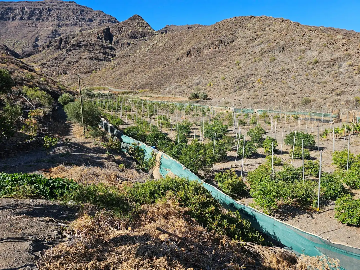 Vista exterior de Finca rústica en venta en La Aldea de San Nicolás  con Jardín privado, Terraza y Trastero