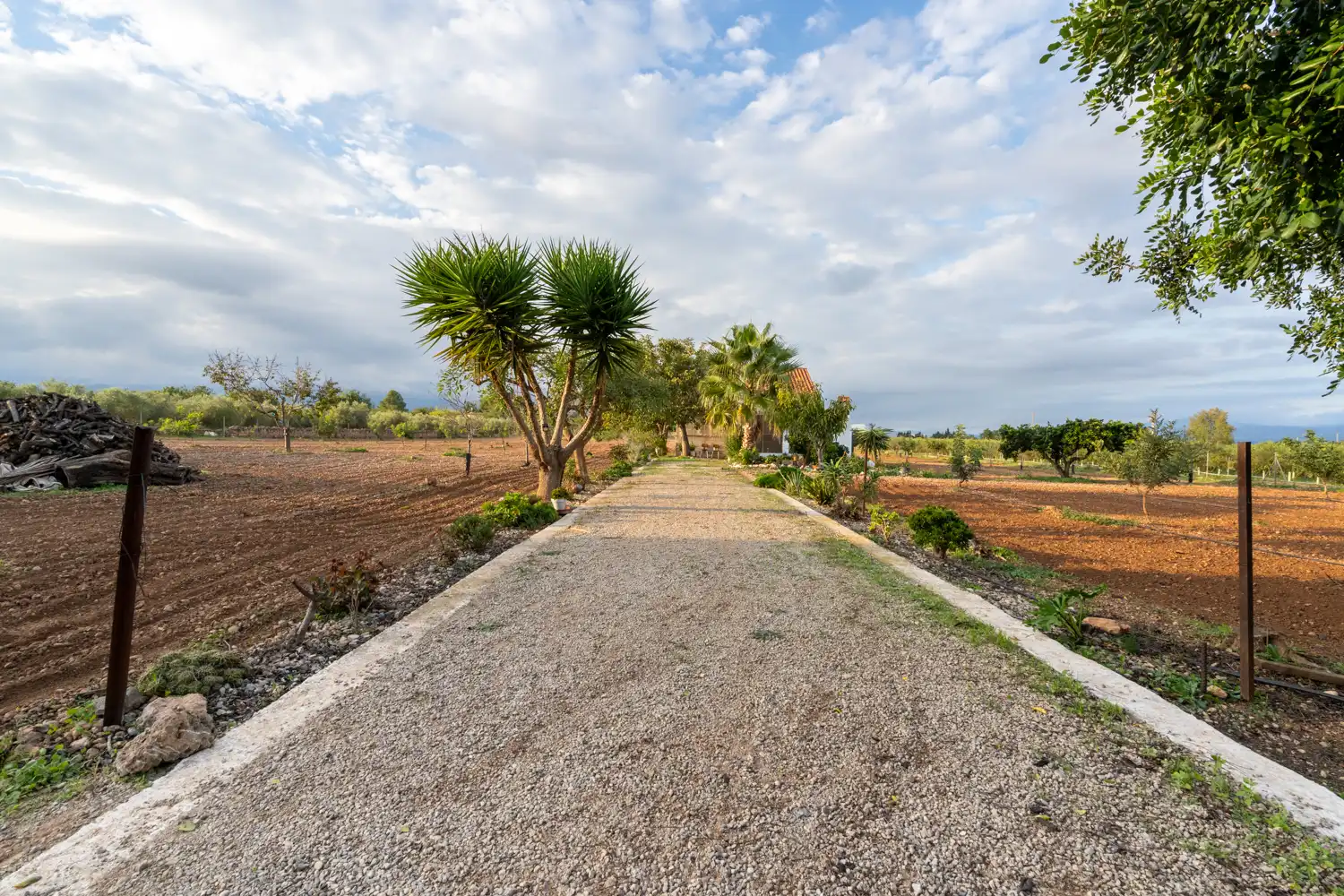 Terreno rustico in vendita a Carretera del Cementiri 9, imagen 35