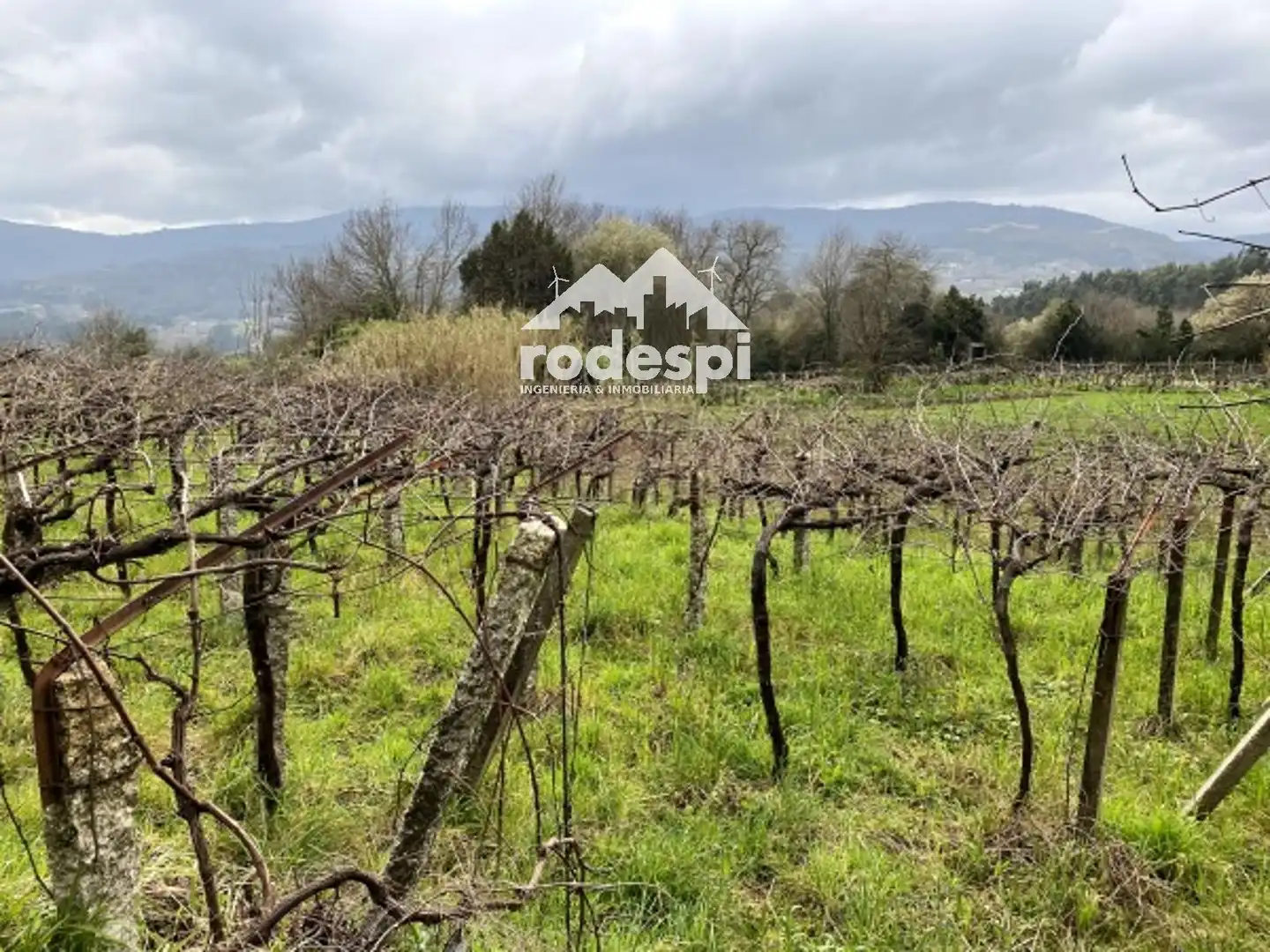 Terreny rústic en venda a A Cañiza, imagen 21