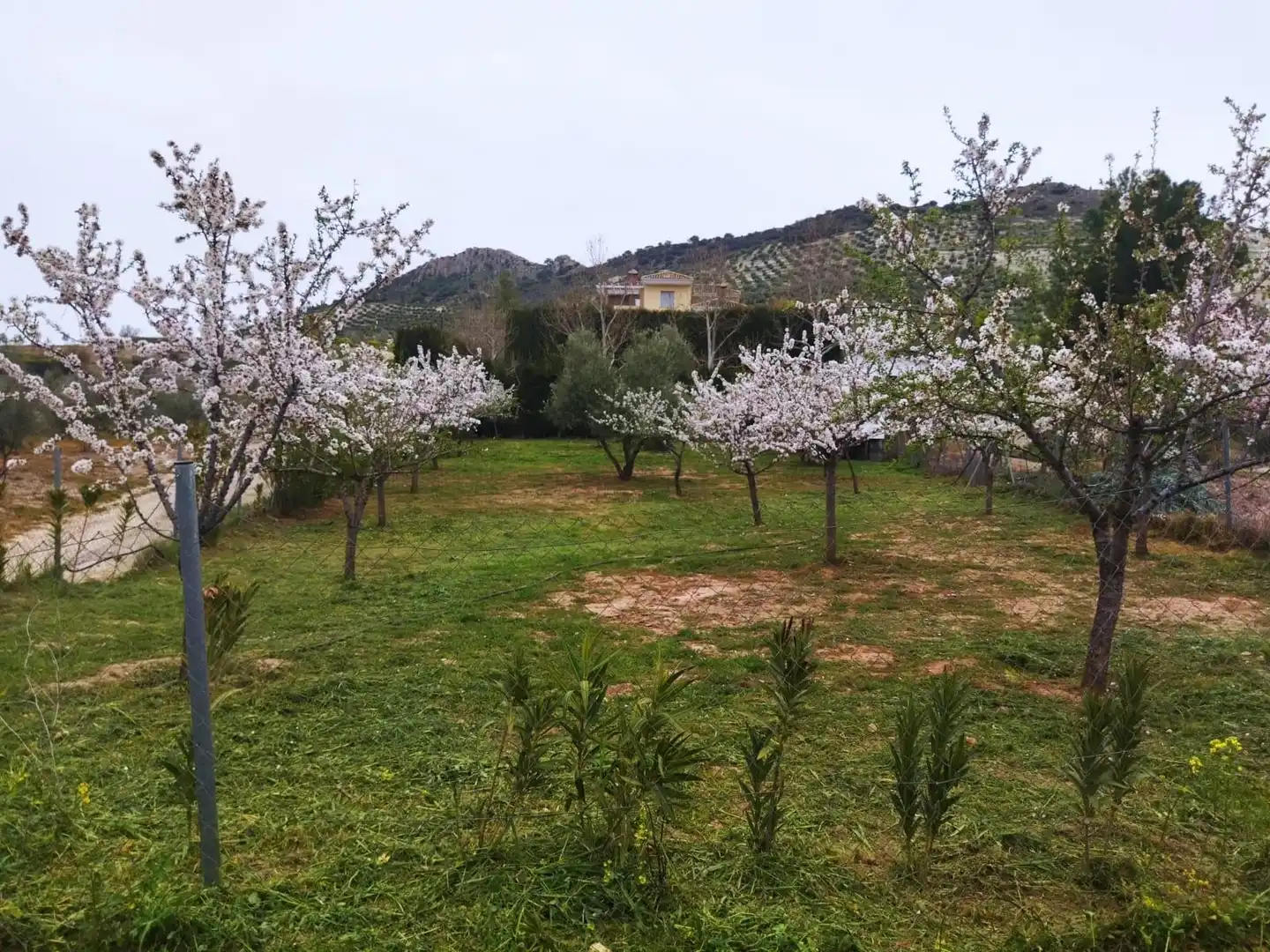 Xalet en venda a Huelma, imagen 13