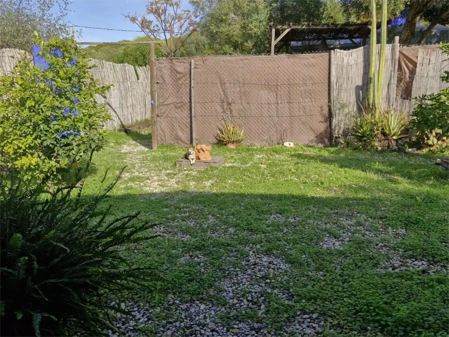 Garden of Lofts for rent in Barbate