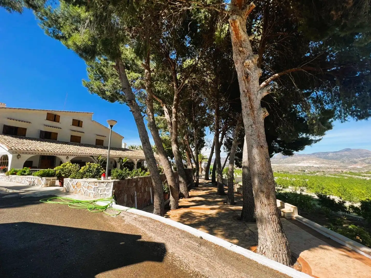 Vista exterior de Finca rústica en venta en Monóvar  / Monòver con Aire acondicionado, Calefacción y Jardín privado