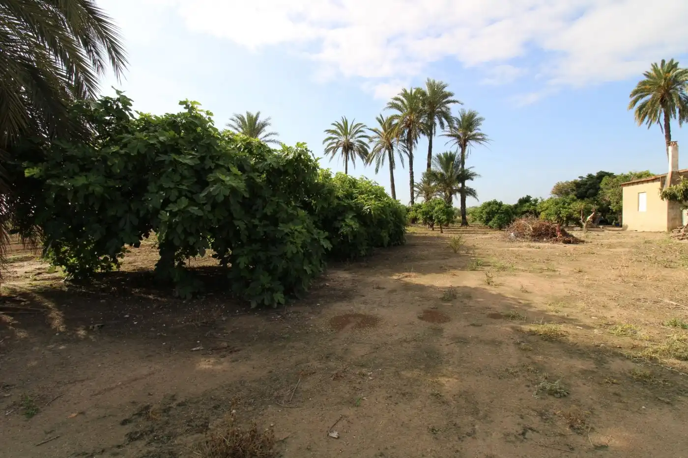 Villa con giardino in vendita a La Foia - Daimés - Asprella, imagen 34